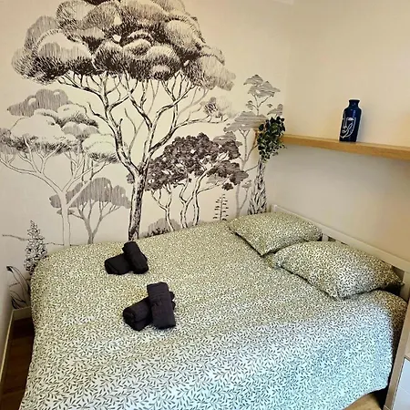 L'ecrin Des Volcans Appartement *